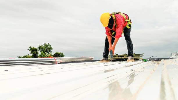 Best Roof Moss and Algae Removal  in Midvale, UT
