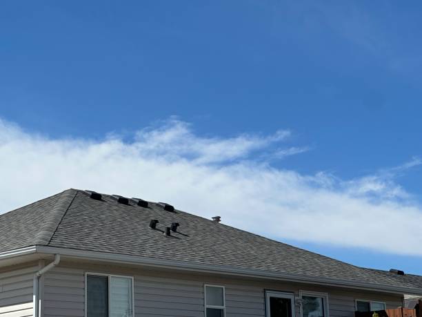 Best Sheet Metal Roofing  in Midvale, UT